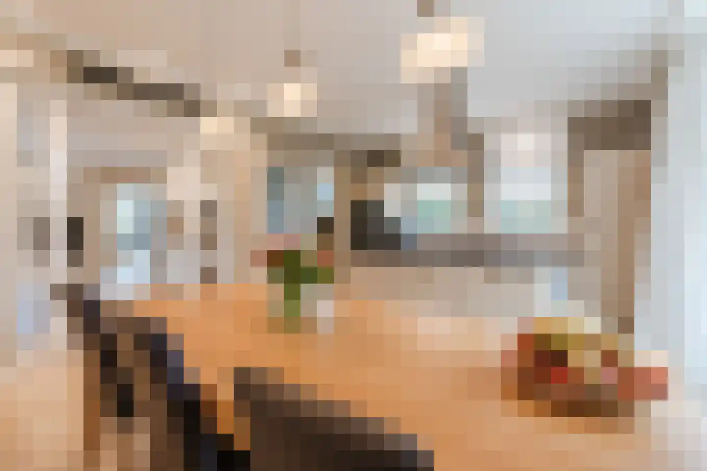 Geldropseweg 21 Heeze thumbnail 20