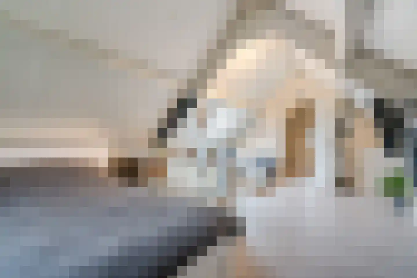 Geldropseweg 21 Heeze thumbnail 46