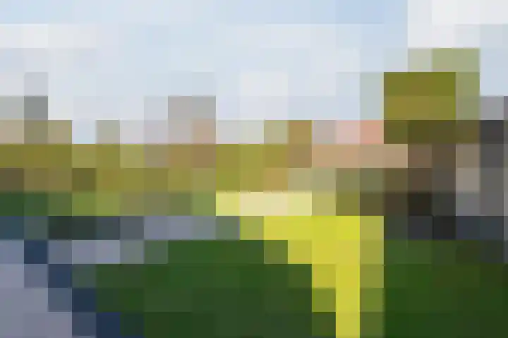 Geldropseweg 21 Heeze thumbnail 51