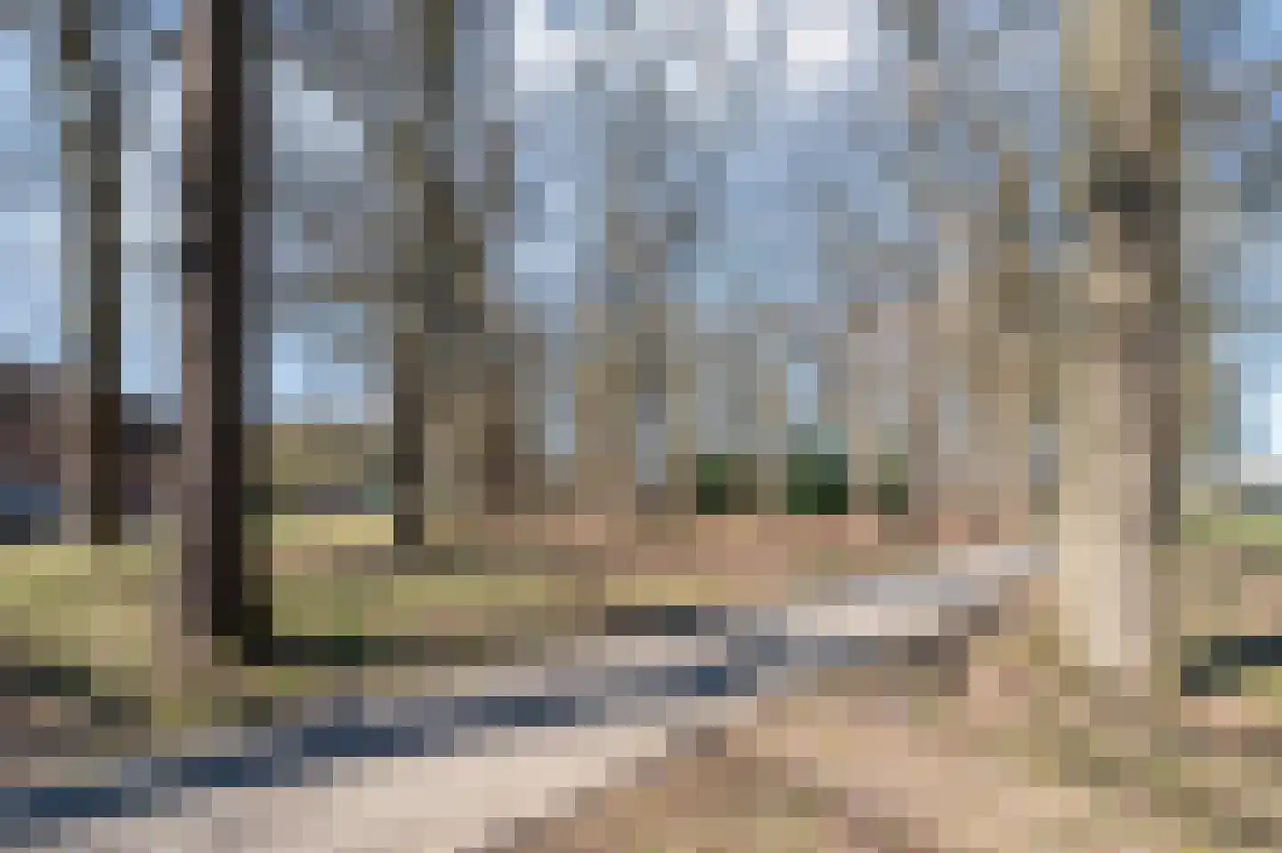 Geldropseweg 21 Heeze thumbnail 60