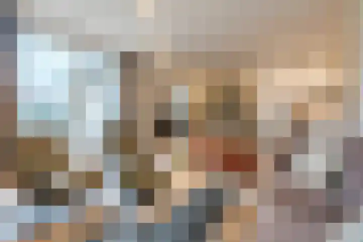 Geldropseweg 21 Heeze thumbnail 8