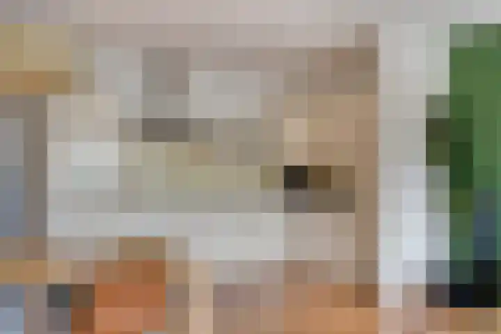 Geldropseweg 220 Eindhoven thumbnail 16