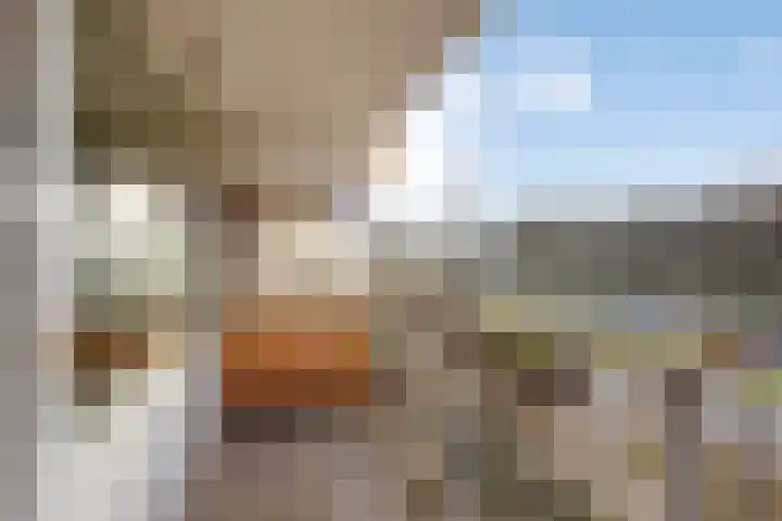 Geldropseweg 220 Eindhoven thumbnail 19