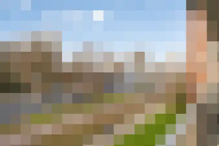 Geldropseweg 220 Eindhoven thumbnail 20
