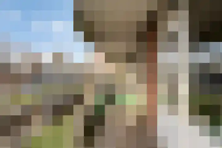 Geldropseweg 220 Eindhoven thumbnail 21
