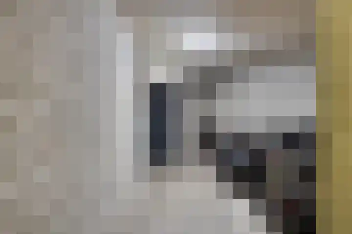 Geldropseweg 220 Eindhoven thumbnail 27