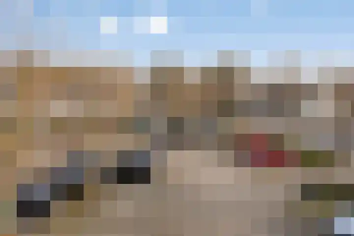 Geldropseweg 220 Eindhoven thumbnail 28
