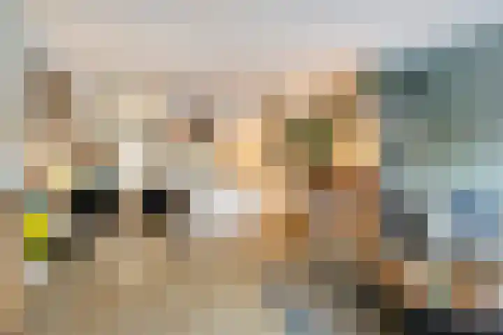 Geldropseweg 242 Eindhoven thumbnail 11