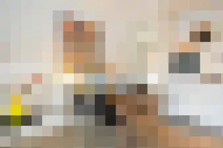 Geldropseweg 242 Eindhoven thumbnail 12