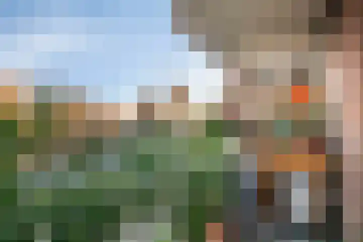 Geldropseweg 242 Eindhoven thumbnail 17