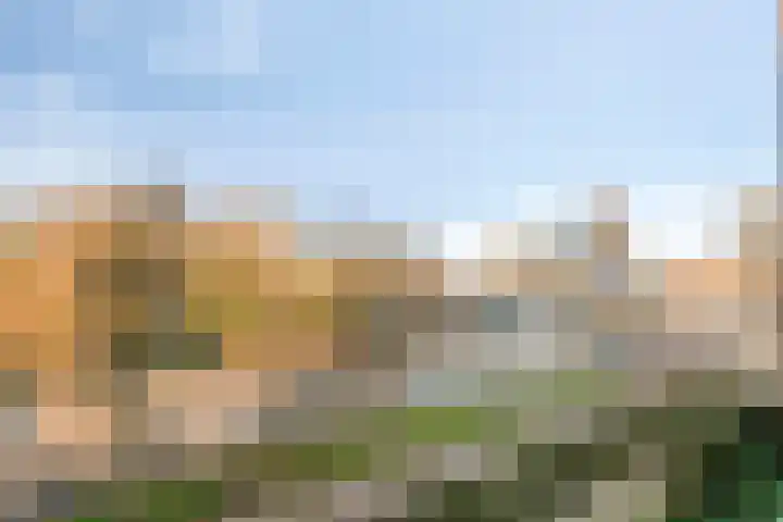 Geldropseweg 242 Eindhoven thumbnail 18