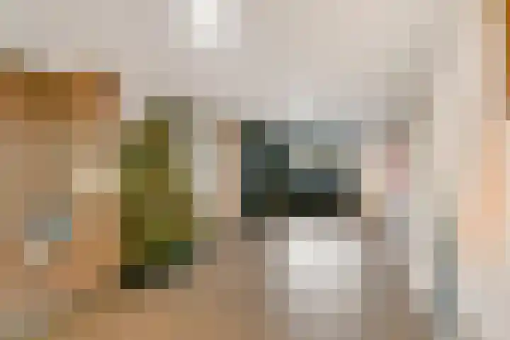 Geldropseweg 242 Eindhoven thumbnail 4