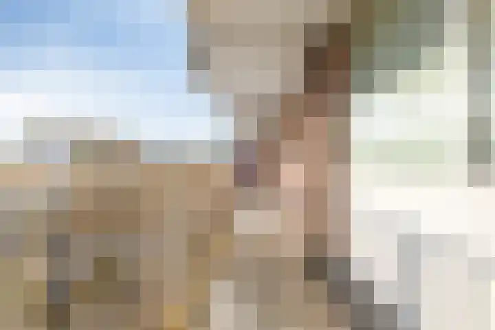 Geldropseweg 242 Eindhoven thumbnail 5