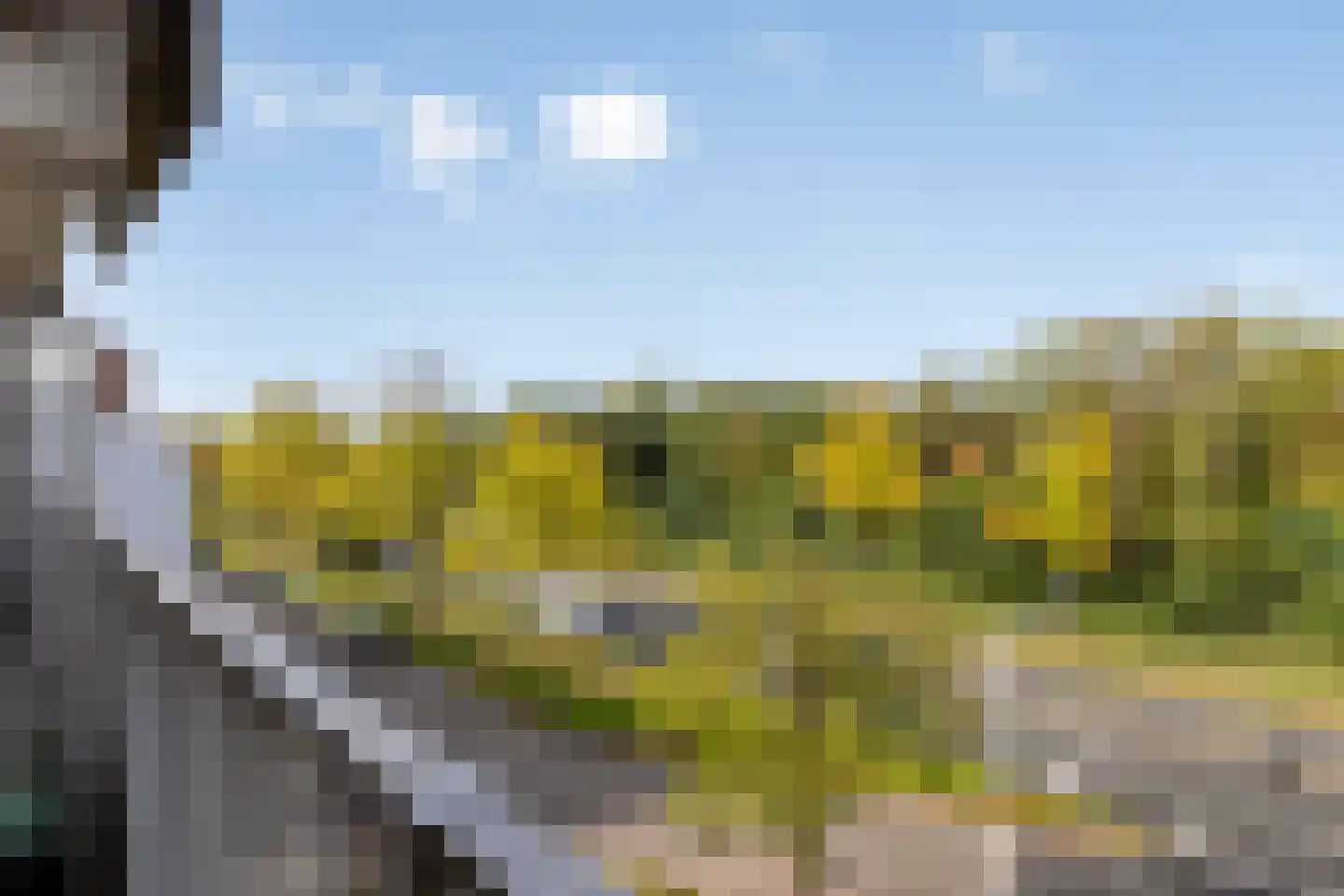 Geldropseweg 262 Eindhoven thumbnail 10