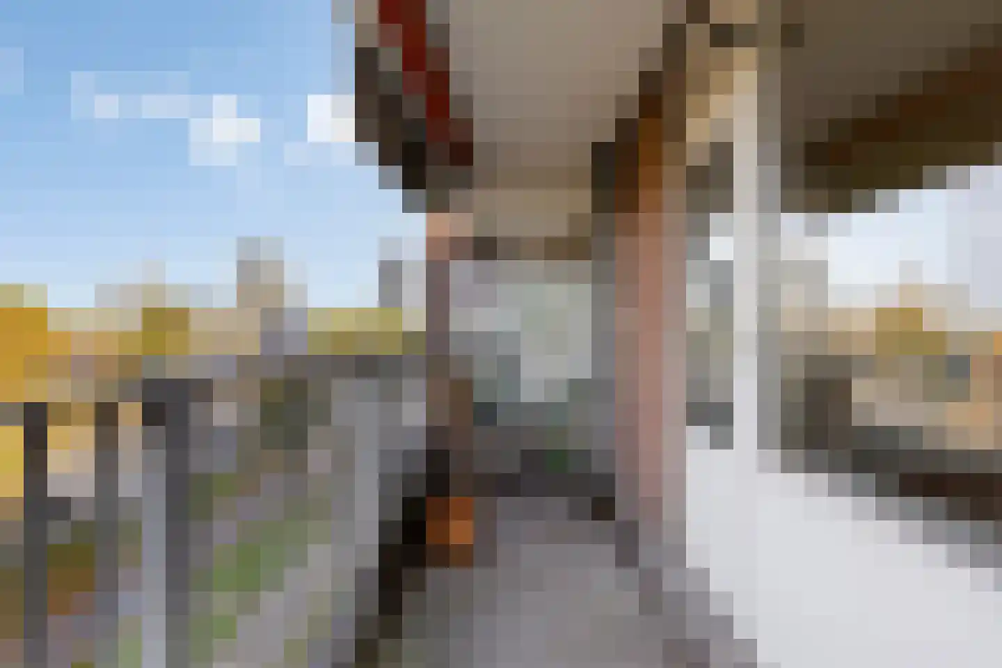 Geldropseweg 262 Eindhoven thumbnail 25