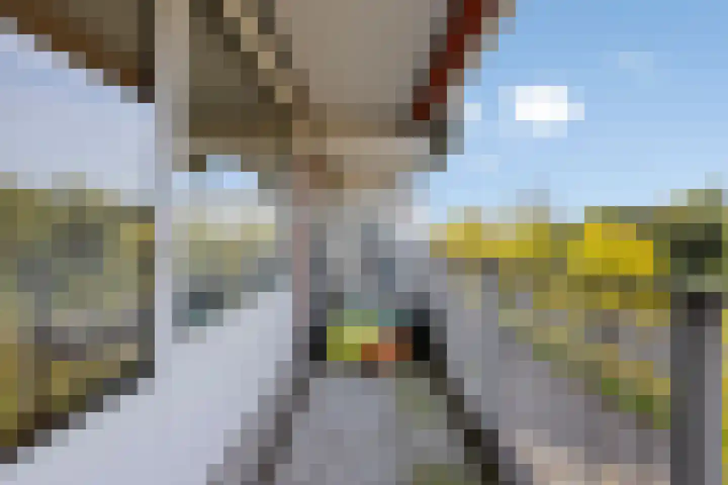 Geldropseweg 262 Eindhoven thumbnail 26