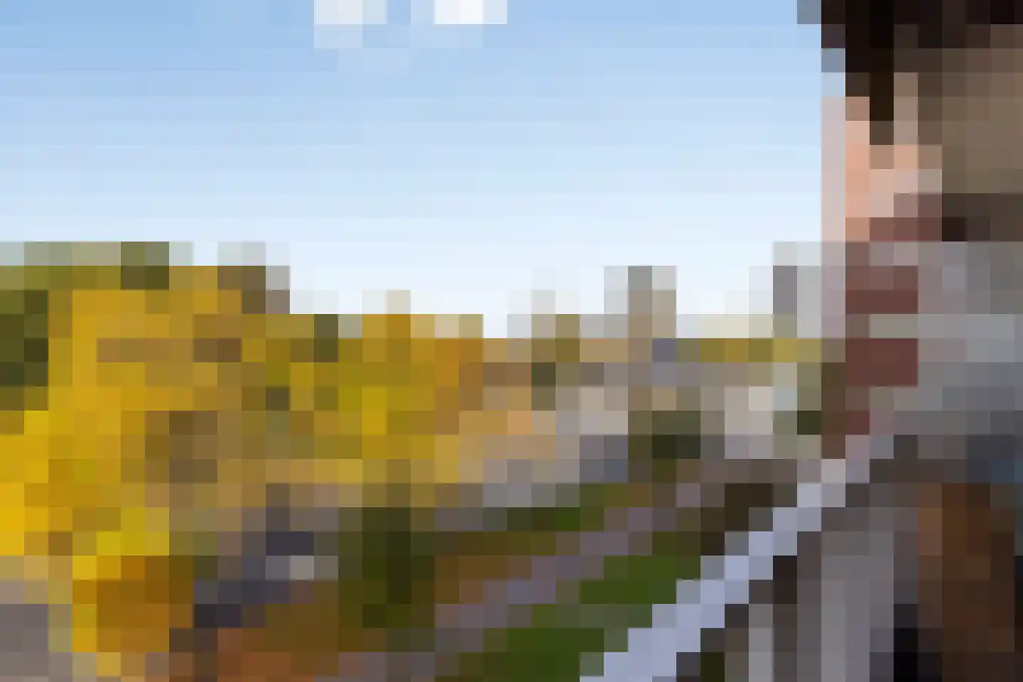 Geldropseweg 262 Eindhoven thumbnail 28