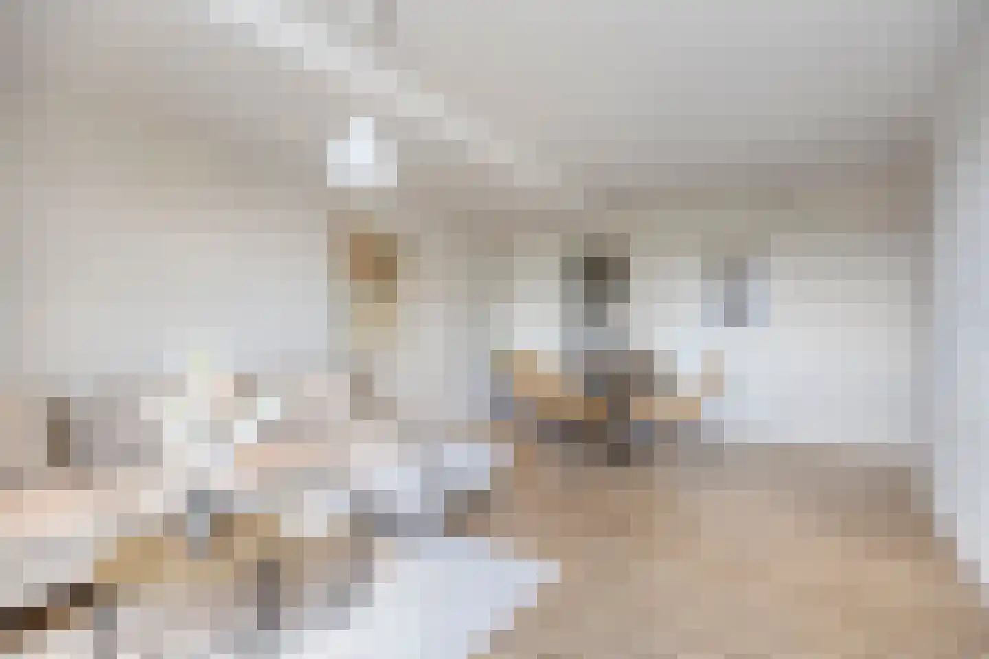 Geldropseweg 268 Eindhoven thumbnail 11
