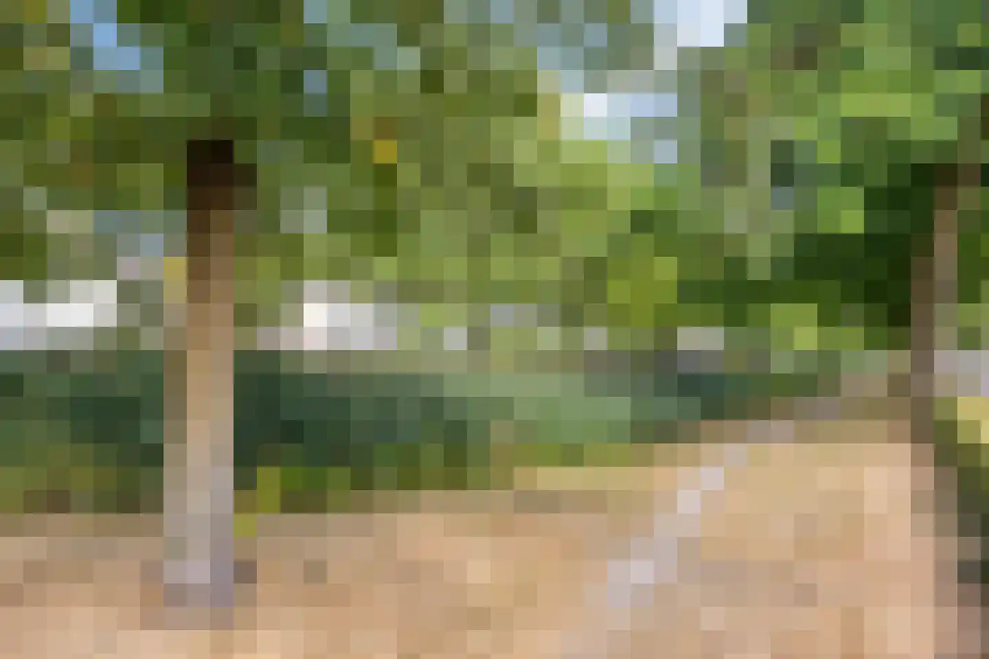 Geldropseweg 268 Eindhoven thumbnail 33