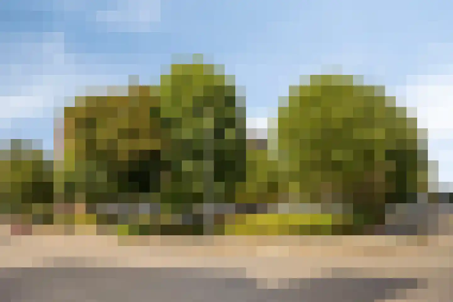 Geldropseweg 268 Eindhoven thumbnail 39
