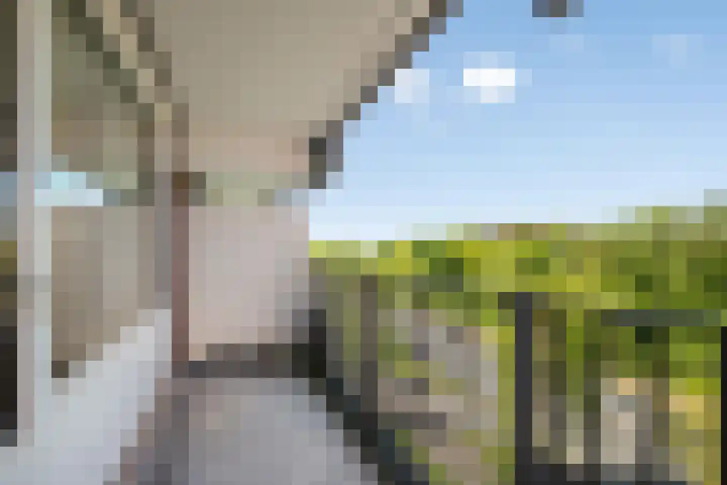 Geldropseweg 288 Eindhoven thumbnail 14