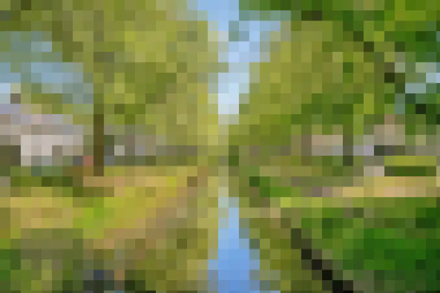 Geldropseweg 288 Eindhoven thumbnail 30