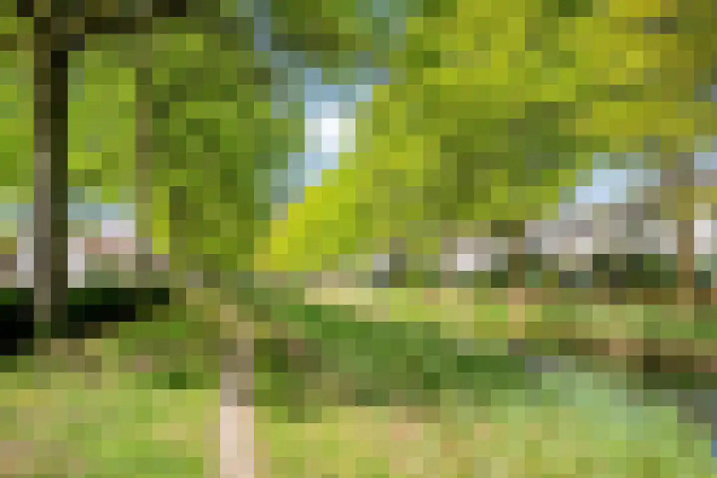 Geldropseweg 288 Eindhoven thumbnail 32