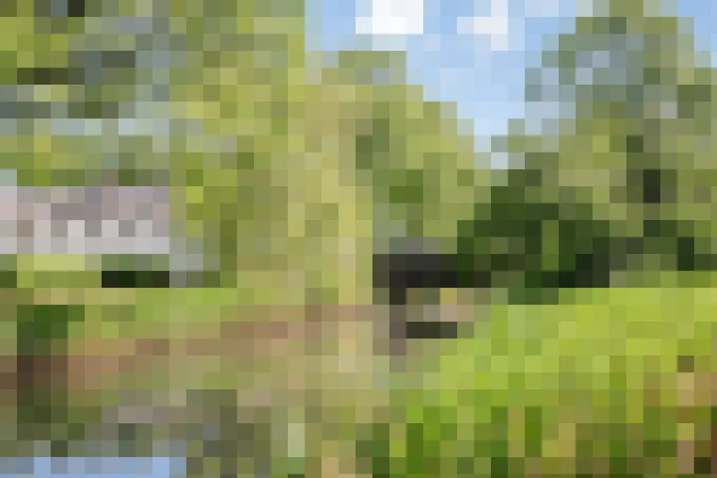 Geldropseweg 288 Eindhoven thumbnail 33