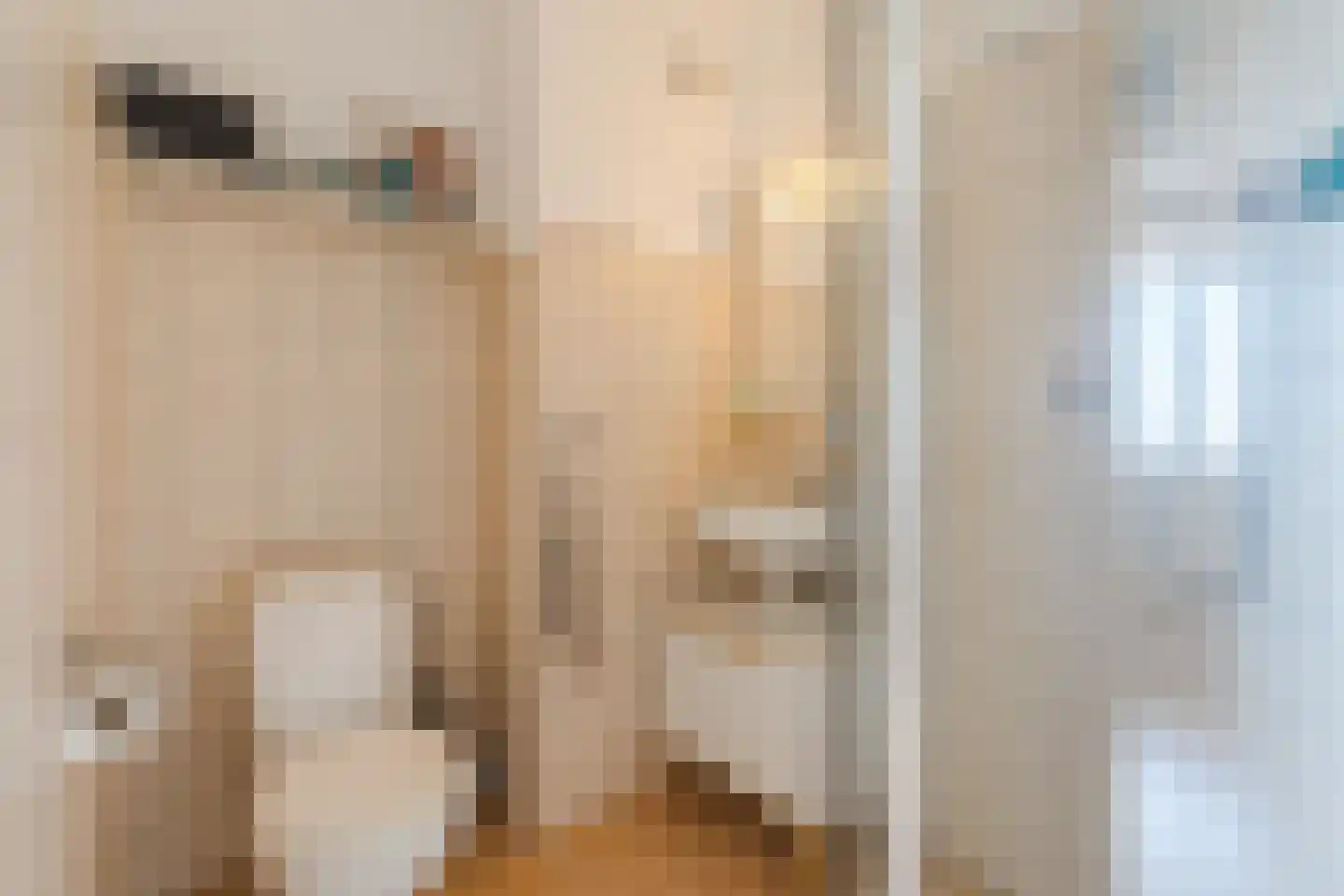 Geldropseweg 292 Eindhoven thumbnail 30