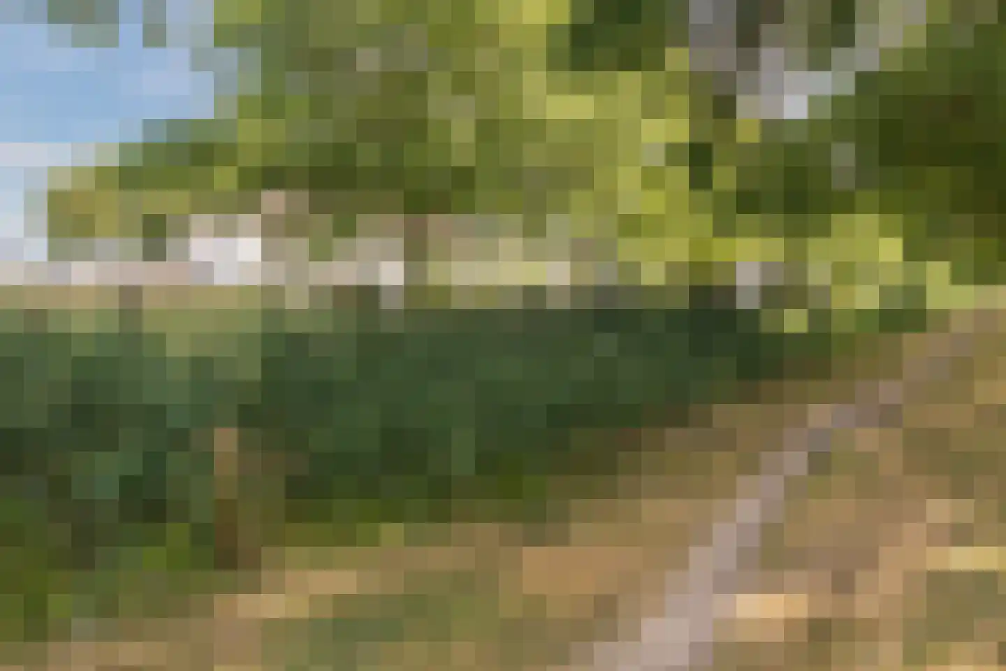 Geldropseweg 292 Eindhoven thumbnail 40