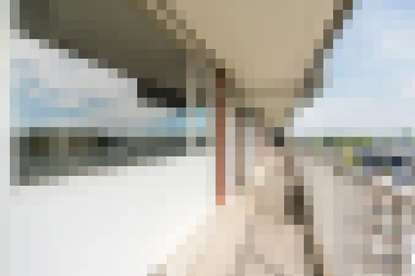 Geldropseweg 292 Eindhoven thumbnail 9
