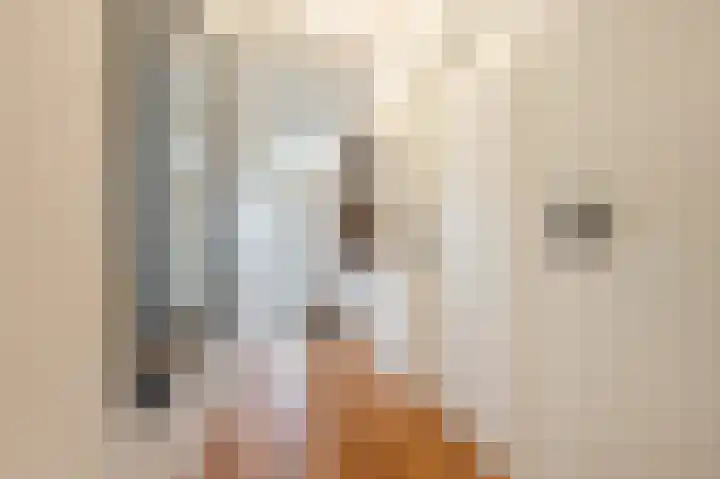 Geldropseweg 300 Eindhoven thumbnail 11