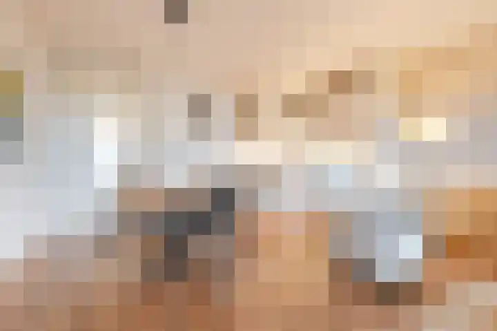 Geldropseweg 300 Eindhoven thumbnail 16