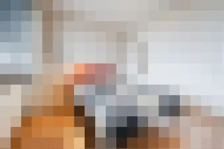 Geldropseweg 300 Eindhoven thumbnail 25
