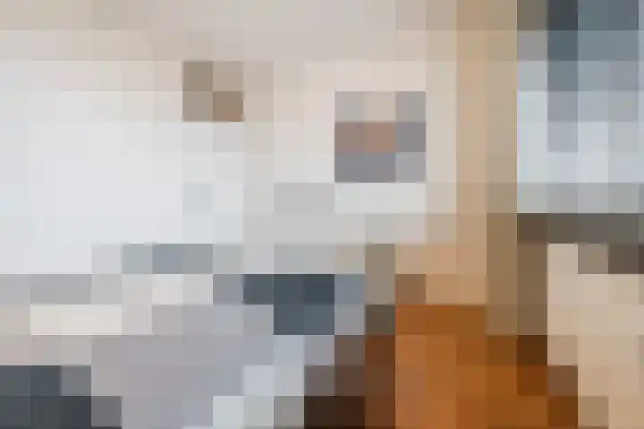 Geldropseweg 300 Eindhoven thumbnail 27