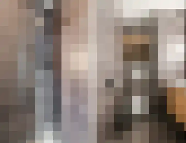 Geldropseweg 300 Eindhoven thumbnail 31