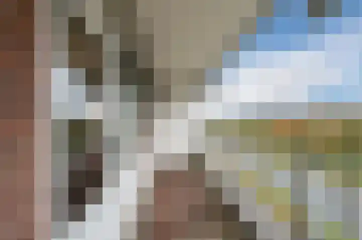 Geldropseweg 300 Eindhoven thumbnail 33