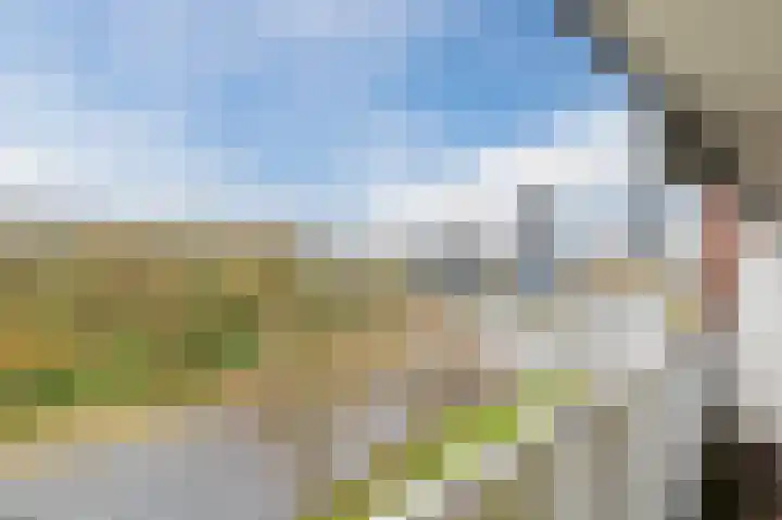 Geldropseweg 300 Eindhoven thumbnail 35