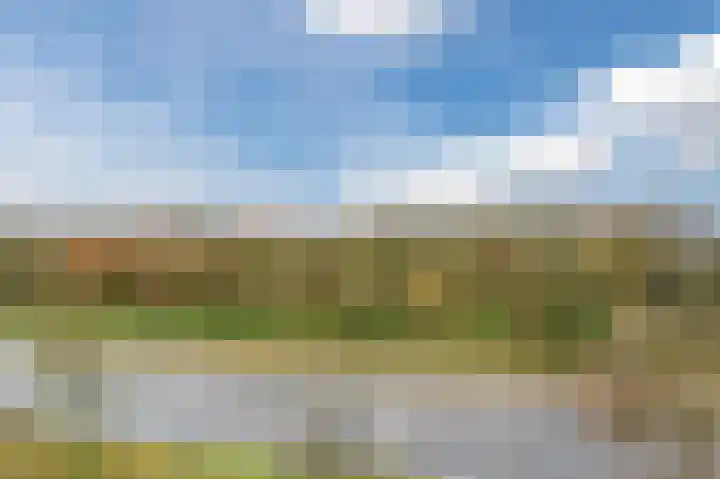 Geldropseweg 300 Eindhoven thumbnail 36
