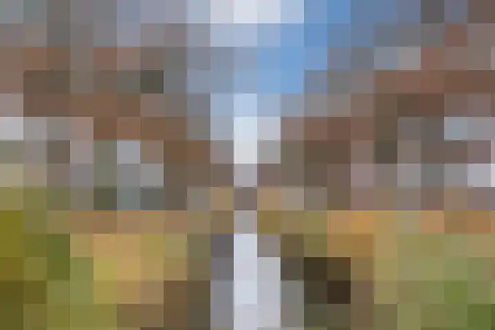 Geldropseweg 300 Eindhoven thumbnail 43