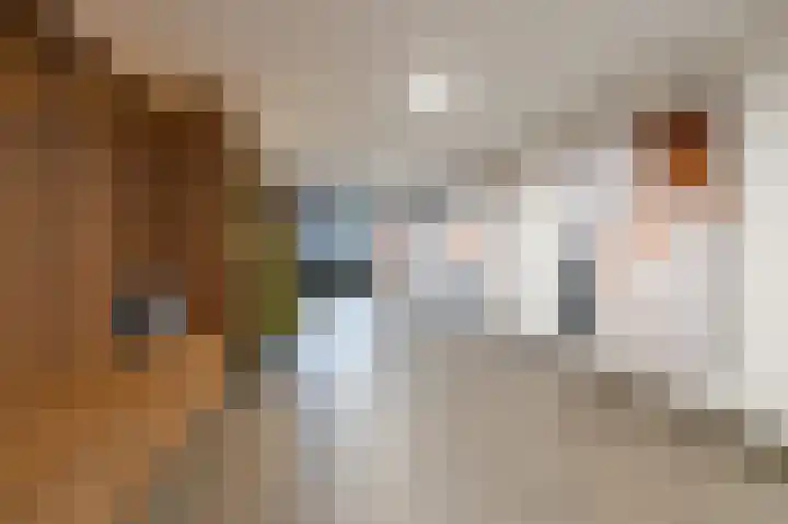 Geldropseweg 300 Eindhoven thumbnail 7
