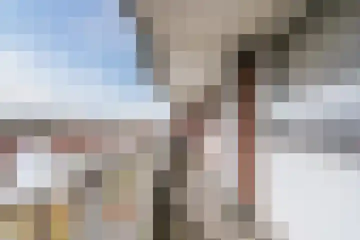 Geldropseweg 300 Eindhoven thumbnail 9