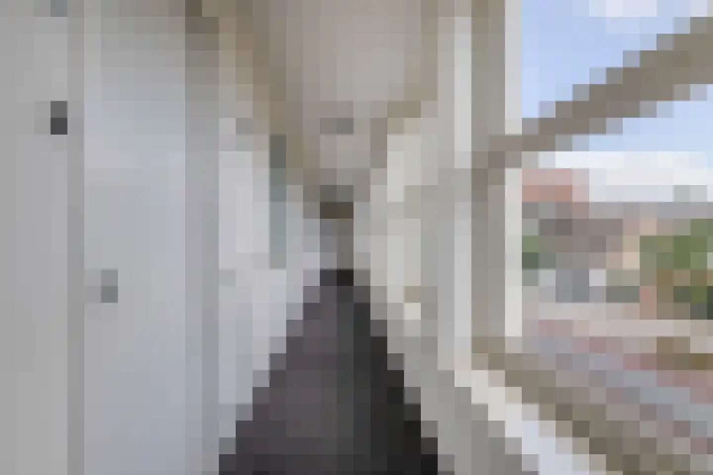 Geldropseweg 34 18 Eindhoven thumbnail 10