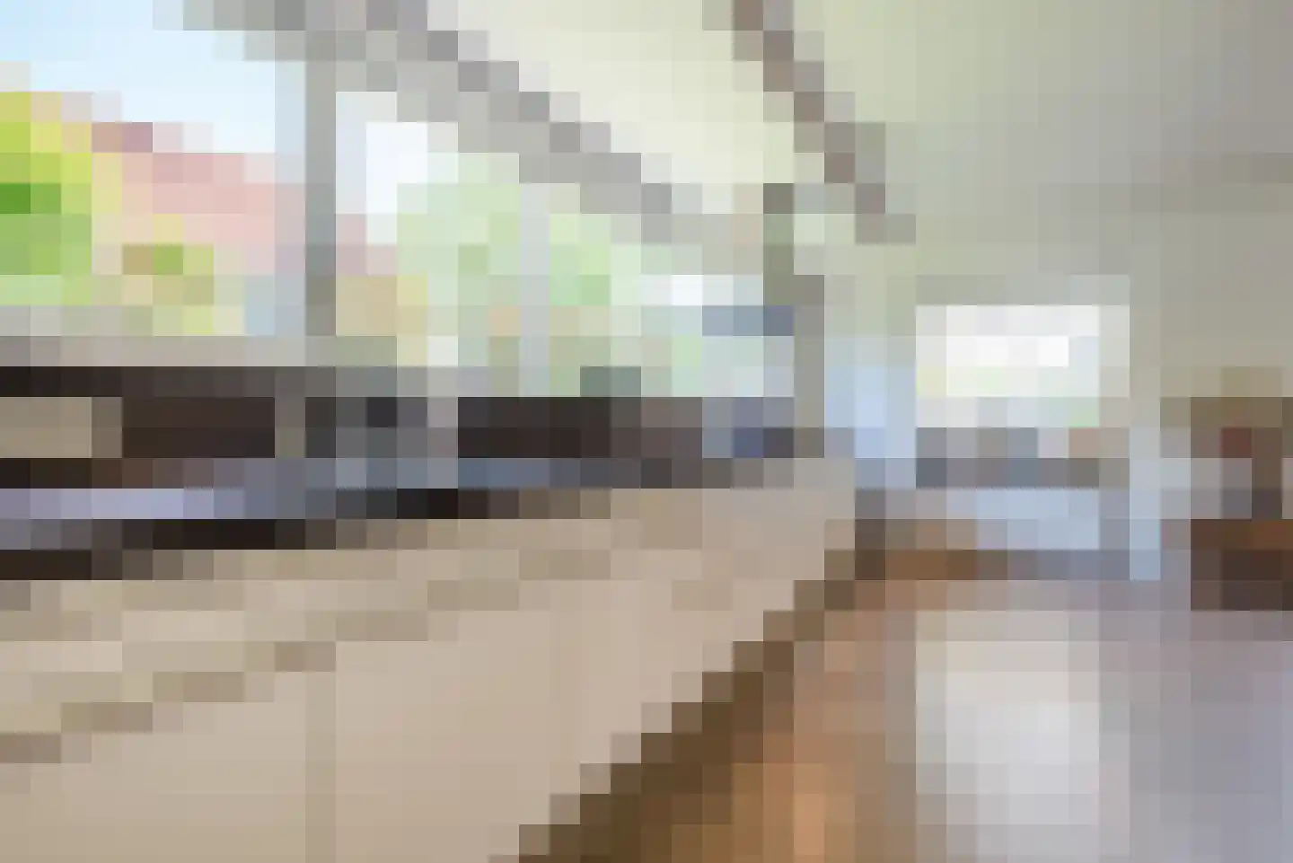 Geldropseweg 43 Heeze thumbnail 14