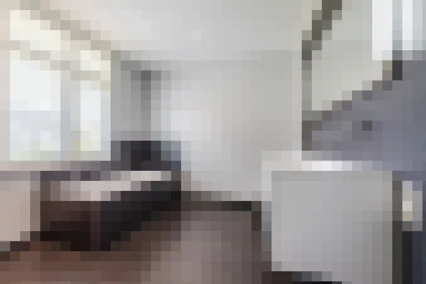 Geldropseweg 43 Heeze thumbnail 25