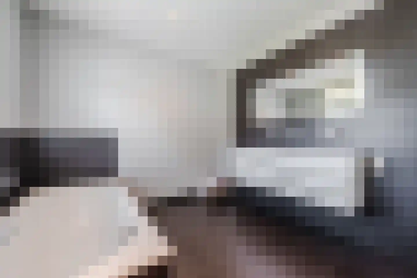 Geldropseweg 43 Heeze thumbnail 26