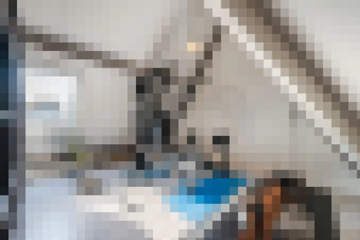 Geldropseweg 43 Heeze thumbnail 30