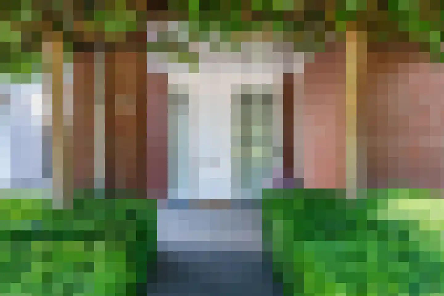 Geldropseweg 43 Heeze thumbnail 4