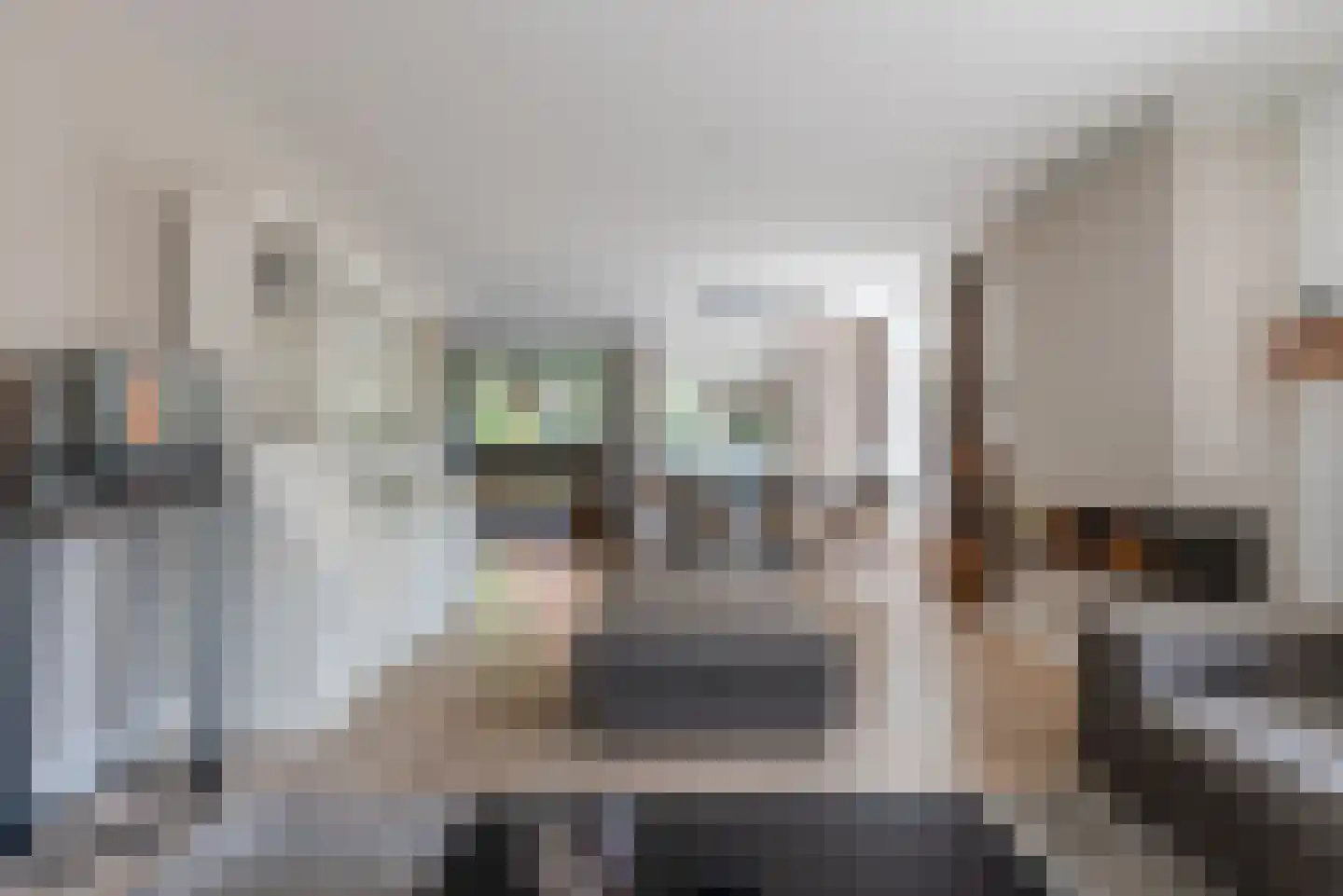 Geldropseweg 43 Heeze thumbnail 8