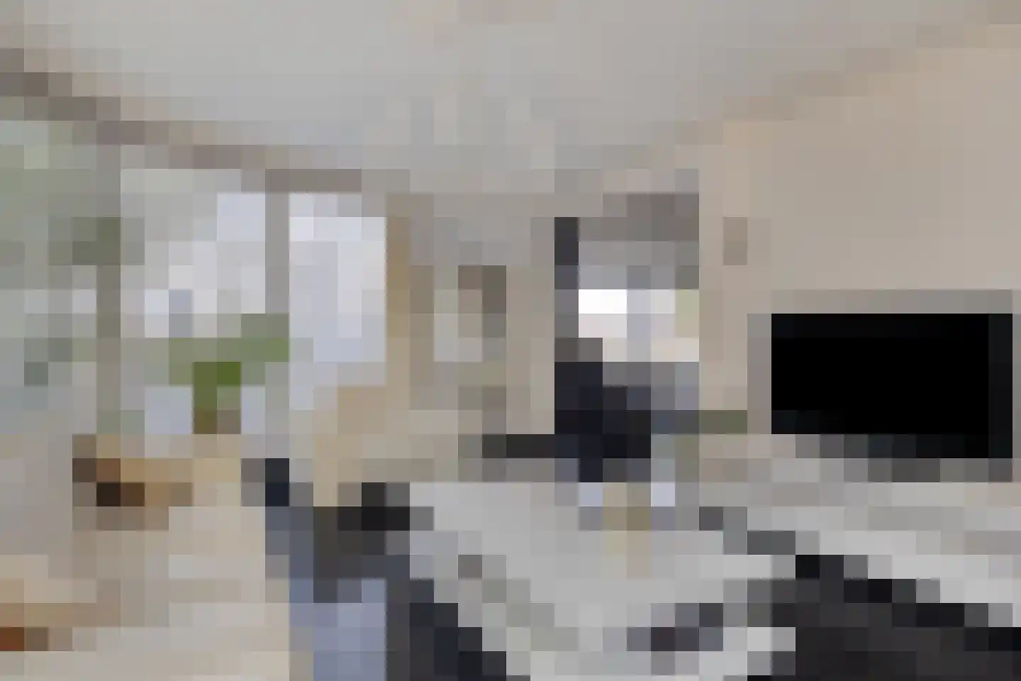 Geldropseweg 442 Eindhoven thumbnail 16